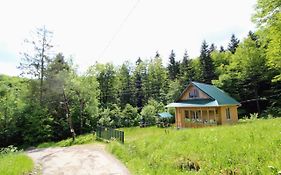 Gribochok
